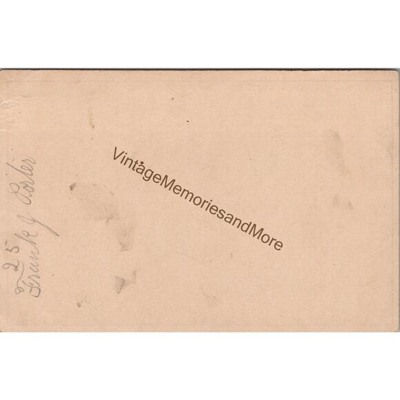 Vintage DeLand's Chemical Baking Powder Advertising Trade Card PB23 - Picture 2 of 2